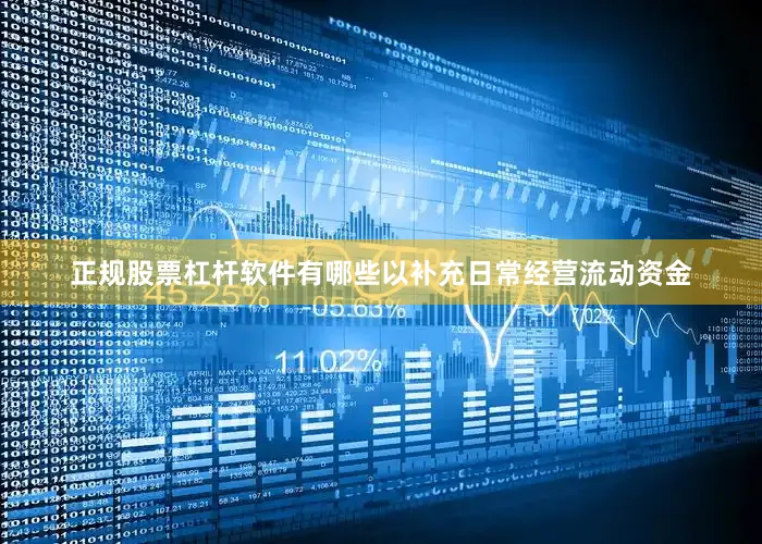 正规股票杠杆软件有哪些以补充日常经营流动资金