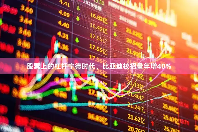 股票上的杠杆宁德时代、比亚迪校招量年增40%