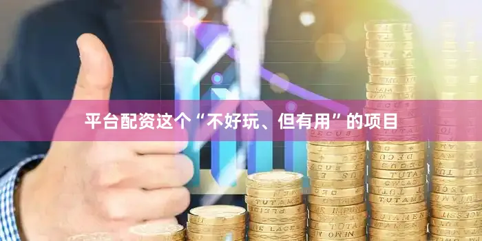 平台配资这个“不好玩、但有用”的项目